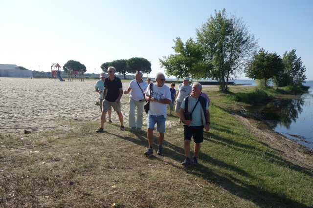 222 Landes 2018 (4)